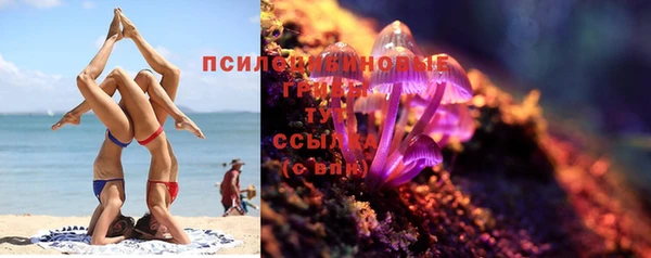 а пвп мука Алзамай
