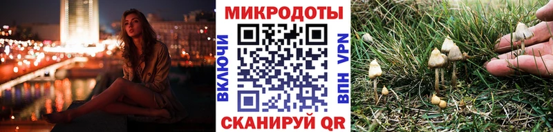 Галлюциногенные грибы Magic Shrooms  закладка  Ейск 